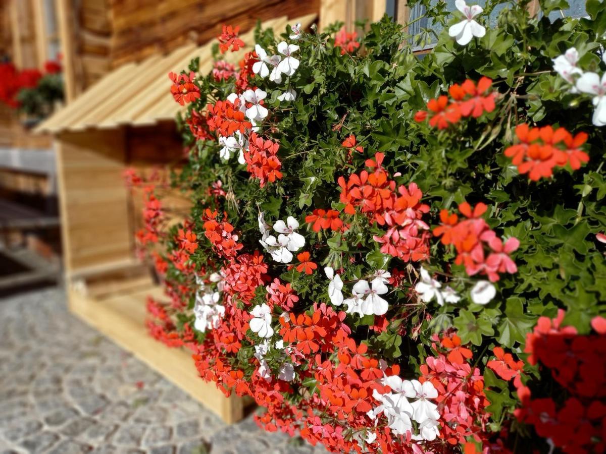 Almchalet Schuster Diex Luaran gambar